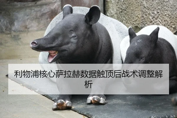 利物浦核心萨拉赫数据触顶后战术调整解析